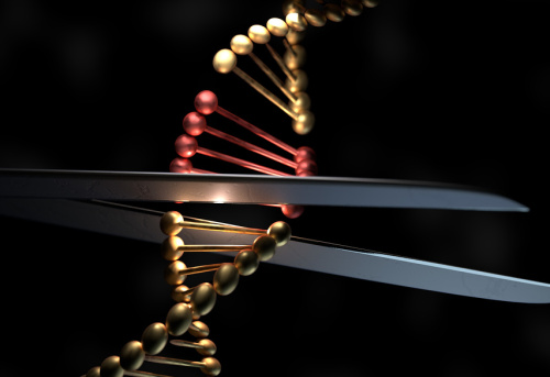 Что такое редактирование генома и CRISPR-Cas9